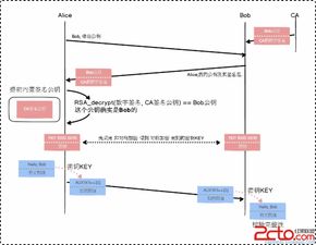 構建安全可靠的通信網絡與信息安全軟件開發