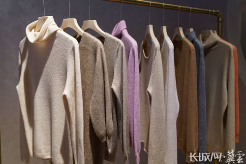 河北清河 織 上加 智 助推羊絨產業做大做強鳳凰網河北 鳳凰網